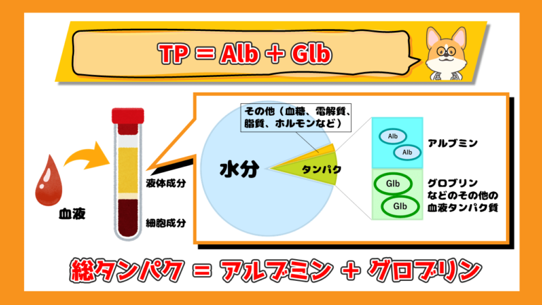 【獣医師解説】犬のアルブミン（Alb）の異常【原因と対策】