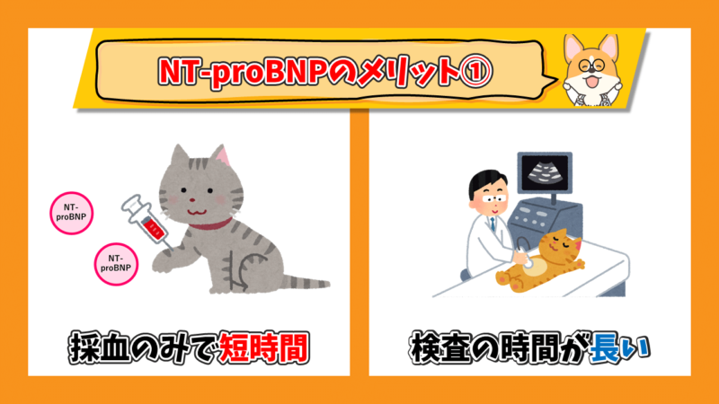 猫のNT-proBNPのメリット①採血のみ
