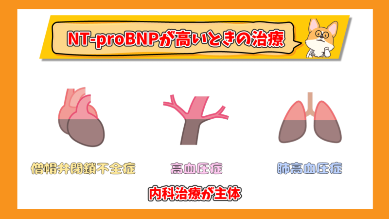 NT-proBNPが高いときの治療　内科治療が主体