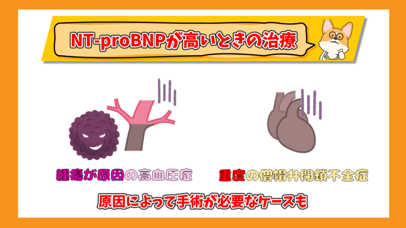 NT-proBNPが高いときのの治療　手術が必要なケース