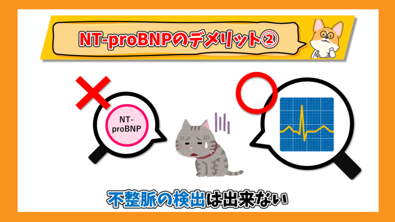 猫のNT-proBNPのデメリット②不整脈の検出はできない