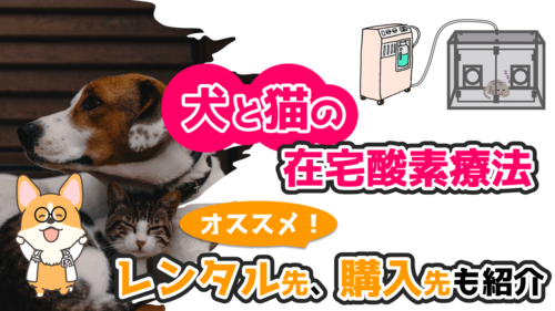 獣医師解説】犬と猫のペット用酸素室！オススメのレンタル先、購入先も