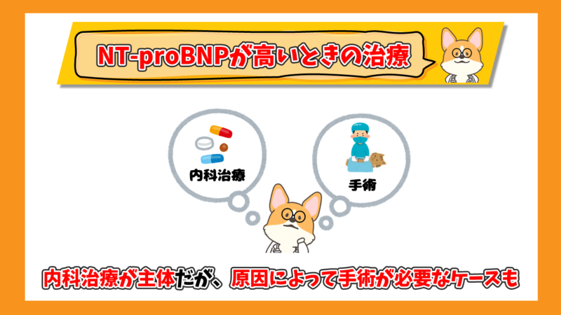 猫のNT-proBNPが高いときの治療