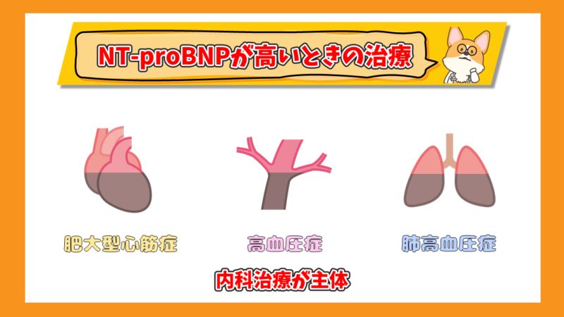猫のNT-proBNPが高いときの治療　内科治療が主体