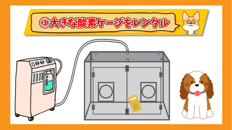 トラスト 高濃度 酸素濃度計 ペット用酸素室に最適 ox-plus より低価格