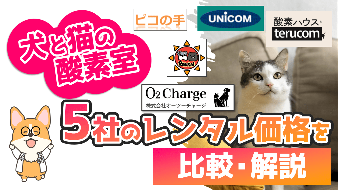 低価格】ペット用酸素室 5社のレンタル価格を徹底比較！【獣医師解説】