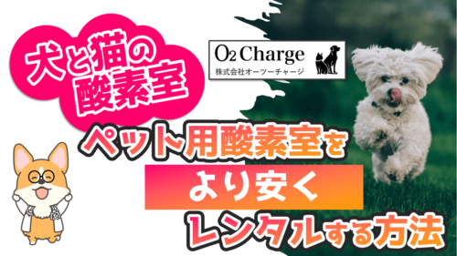 獣医師解説】犬と猫のペット用酸素室！オススメのレンタル先、購入先も